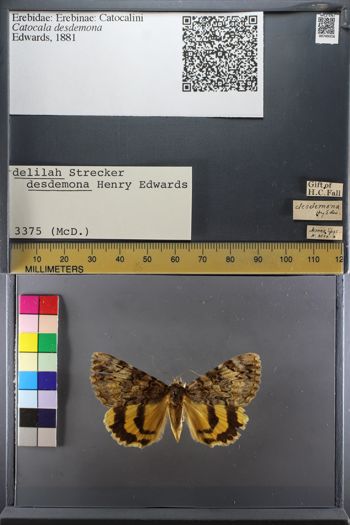Media type: image;   Entomology 749316